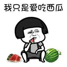 娱乐吃瓜掌柜,吃瓜掌柜带你领略幕后风云