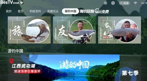 娱乐吃瓜钓鱼视频下载,一键下载收藏攻略